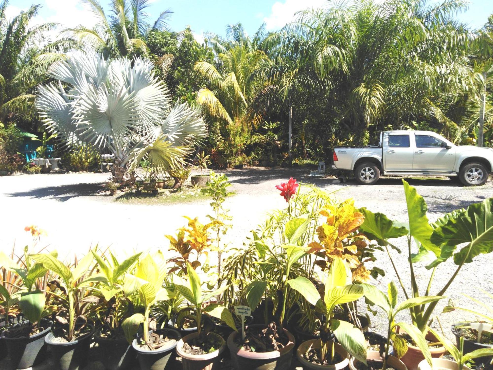 Krasom Homestay Phang Nga Chambre photo
